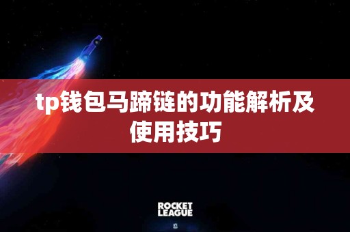 tp钱包马蹄链的功能解析及使用技巧