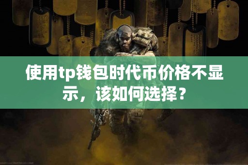 使用tp钱包时代币价格不显示，该如何选择？