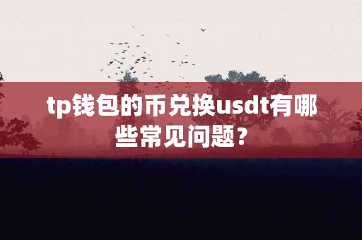 tp钱包的币兑换usdt有哪些常见问题？