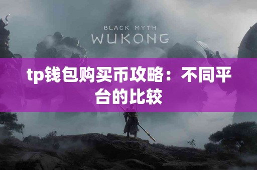 tp钱包购买币攻略：不同平台的比较