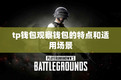 tp钱包观察钱包的特点和适用场景