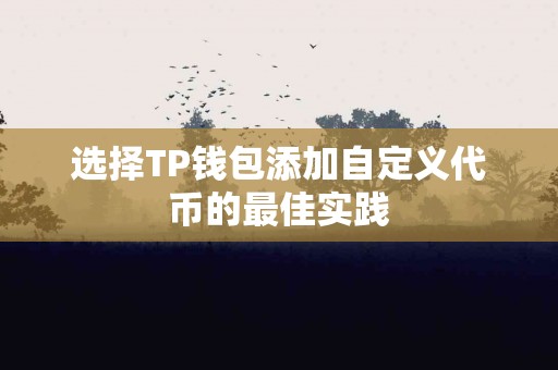 选择TP钱包添加自定义代币的最佳实践