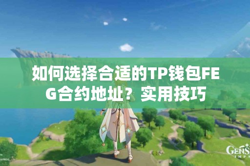 如何选择合适的TP钱包FEG合约地址？实用技巧