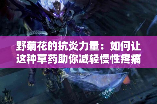 野菊花的抗炎力量：如何让这种草药助你减轻慢性疼痛？