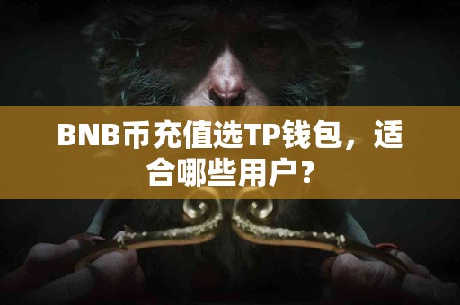BNB币充值选TP钱包，适合哪些用户？