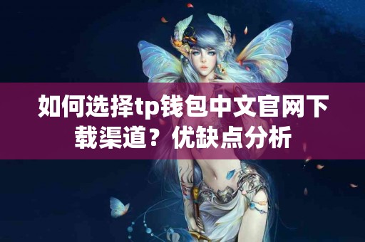 如何选择tp钱包中文官网下载渠道？优缺点分析