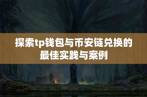 探索tp钱包与币安链兑换的最佳实践与案例