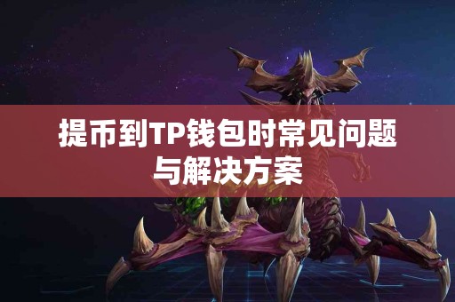 提币到TP钱包时常见问题与解决方案