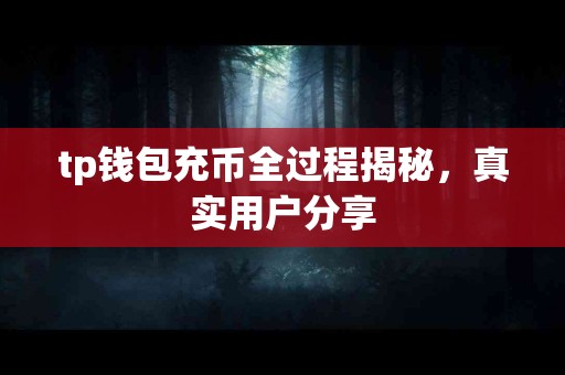 tp钱包充币全过程揭秘，真实用户分享