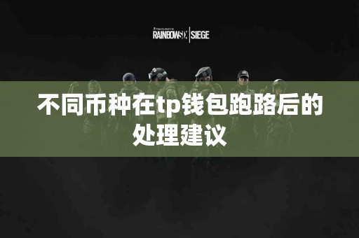 不同币种在tp钱包跑路后的处理建议