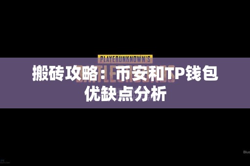 搬砖攻略：币安和TP钱包优缺点分析