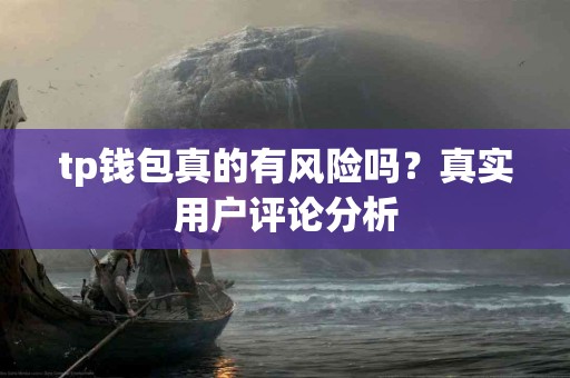 tp钱包真的有风险吗？真实用户评论分析
