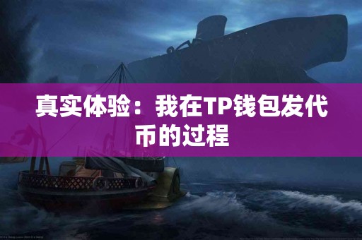 真实体验：我在TP钱包发代币的过程
