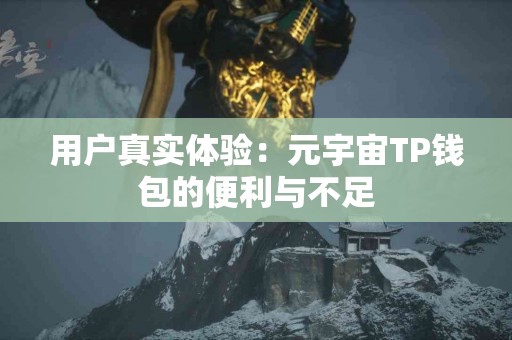 用户真实体验：元宇宙TP钱包的便利与不足