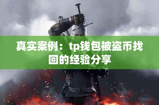 真实案例：tp钱包被盗币找回的经验分享