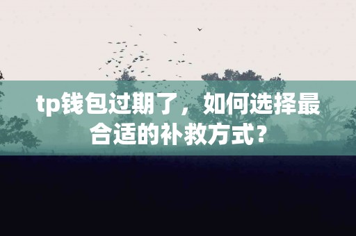 tp钱包过期了，如何选择最合适的补救方式？