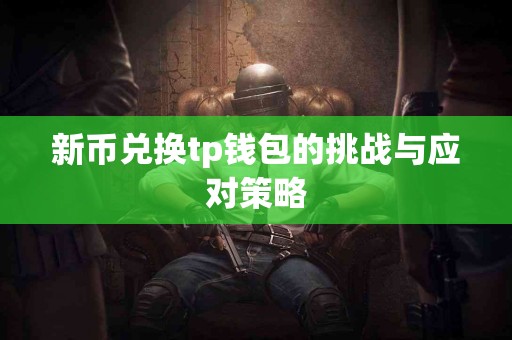 新币兑换tp钱包的挑战与应对策略