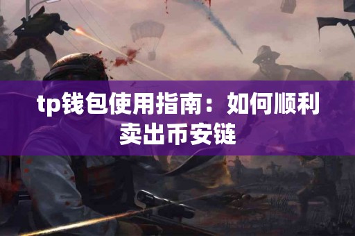 tp钱包使用指南：如何顺利卖出币安链