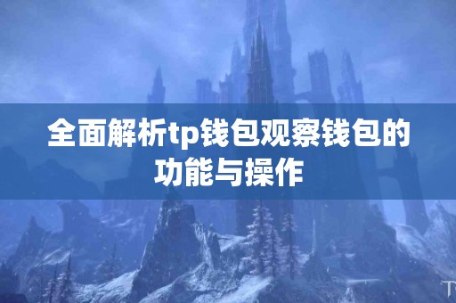 全面解析tp钱包观察钱包的功能与操作