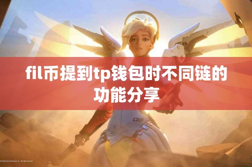 fil币提到tp钱包时不同链的功能分享