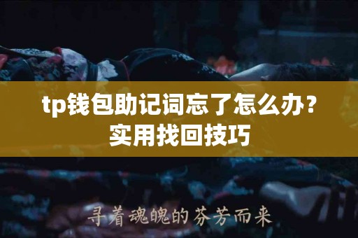 tp钱包助记词忘了怎么办？实用找回技巧