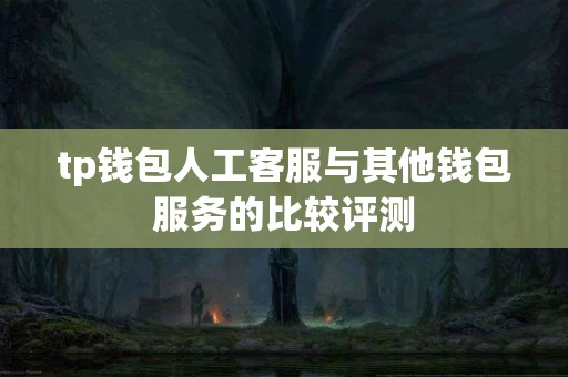 tp钱包人工客服与其他钱包服务的比较评测