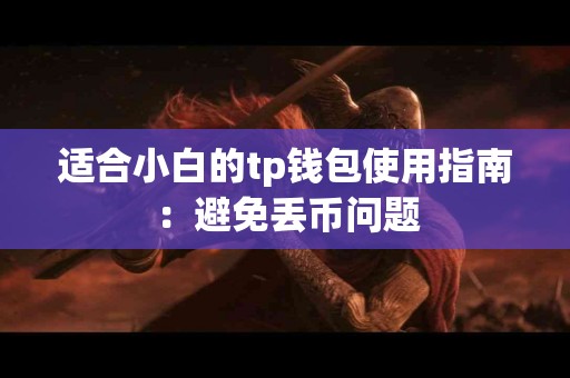 适合小白的tp钱包使用指南：避免丢币问题