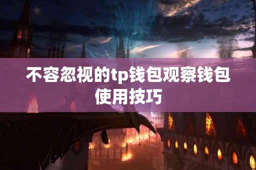 不容忽视的tp钱包观察钱包使用技巧