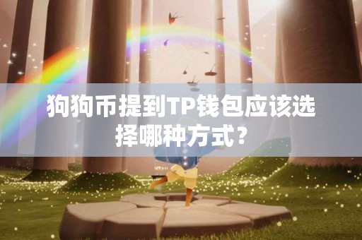 狗狗币提到TP钱包应该选择哪种方式？