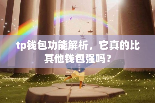 tp钱包功能解析，它真的比其他钱包强吗？