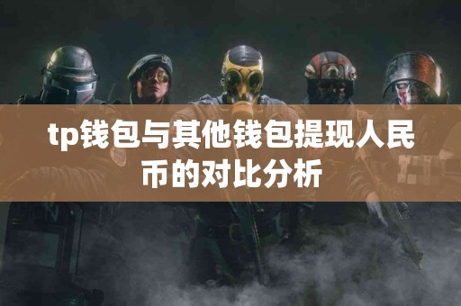 tp钱包与其他钱包提现人民币的对比分析