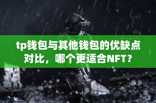 tp钱包与其他钱包的优缺点对比，哪个更适合NFT？