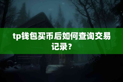 tp钱包买币后如何查询交易记录？