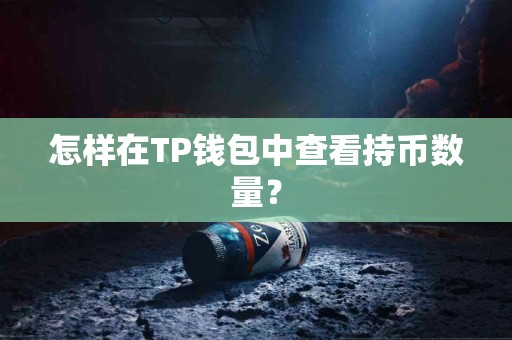 怎样在TP钱包中查看持币数量？