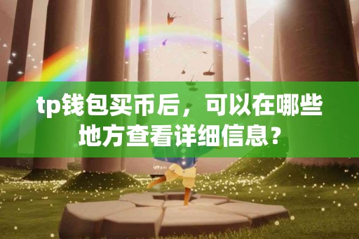 tp钱包买币后，可以在哪些地方查看详细信息？