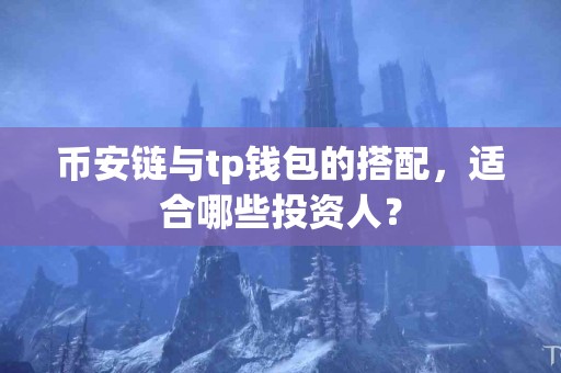 币安链与tp钱包的搭配，适合哪些投资人？