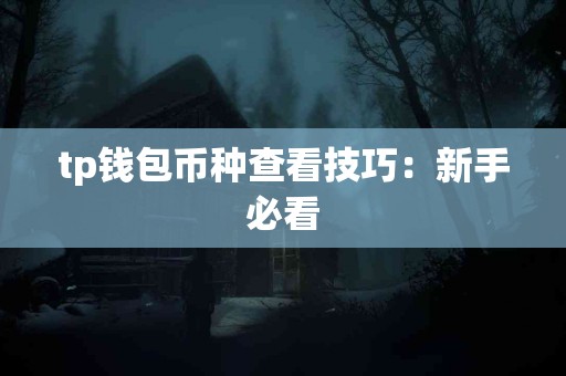 tp钱包币种查看技巧：新手必看