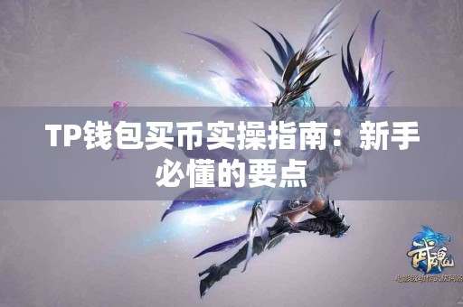 TP钱包买币实操指南：新手必懂的要点